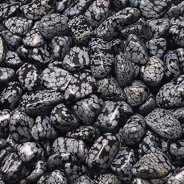 Snowflake Obsidian Tumbled Stone - 1 Piece